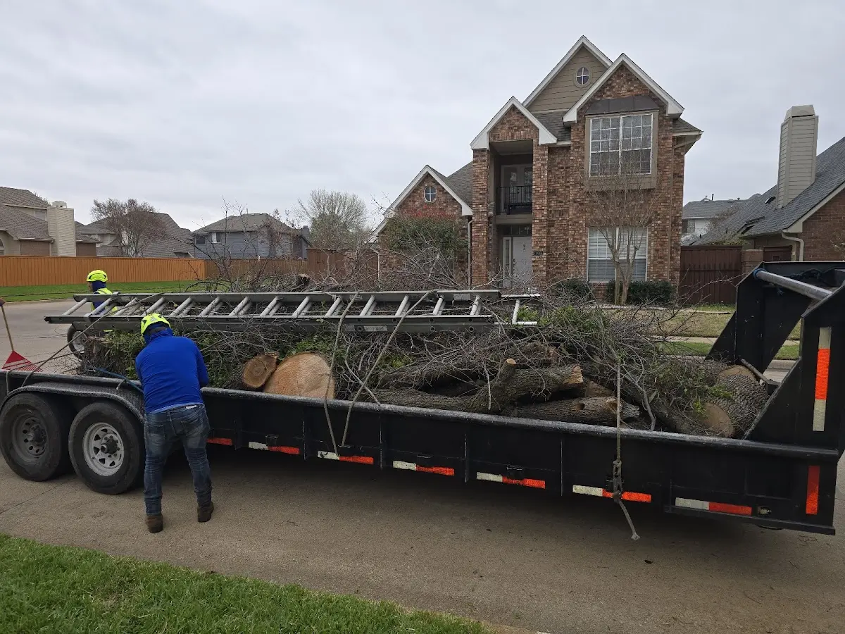 Expert Tree Removal with proper safety equipment in Raymond